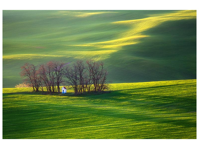 canvas-print-fields-x