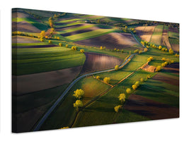 canvas-print-fields-xgg