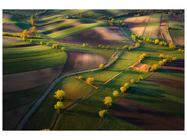 canvas-print-fields-xgg