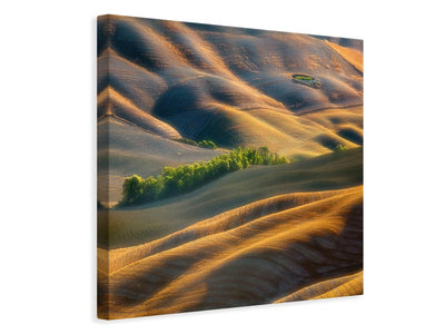 canvas-print-fields-xlk