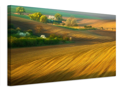 canvas-print-fields-xxg