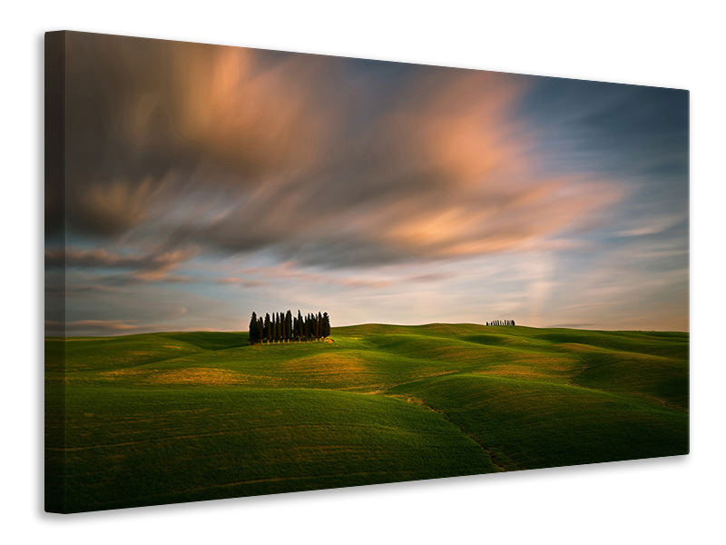 canvas-print-fields