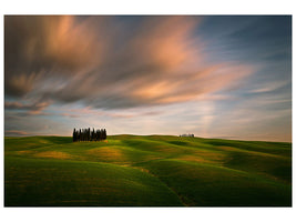 canvas-print-fields