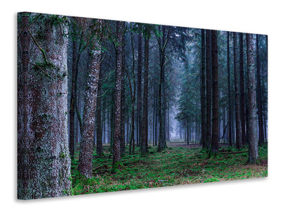 canvas-print-fir-trees-forest