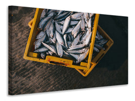 canvas-print-fish-in-boxes