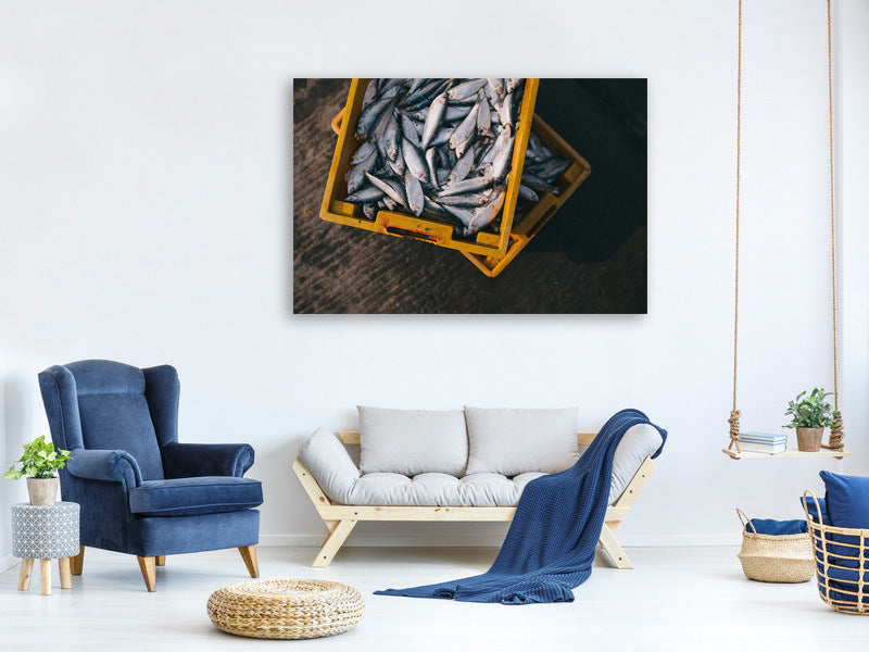 canvas-print-fish-in-boxes