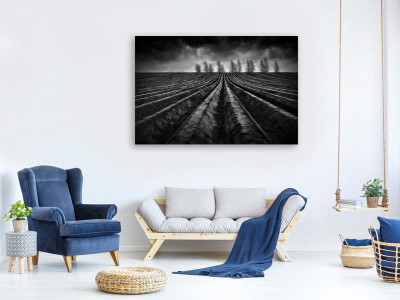 canvas-print-flanders-fields-iii-x