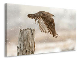 canvas-print-flight-against-the-snowstorm