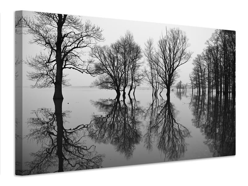 canvas-print-flood-x