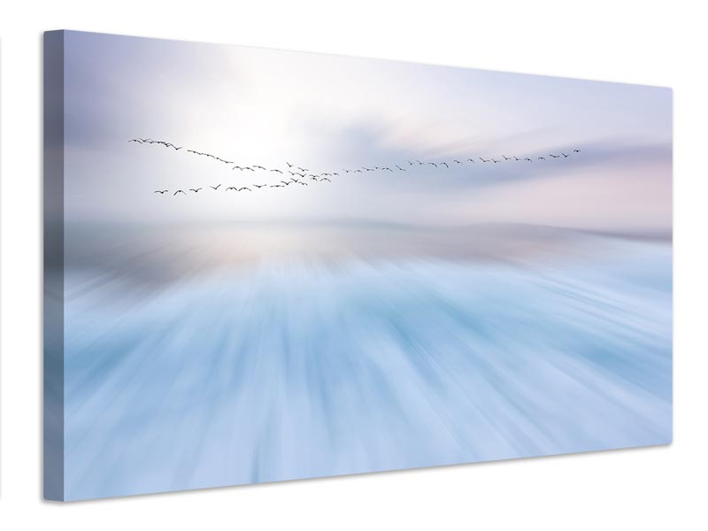 canvas-print-fly-over-x