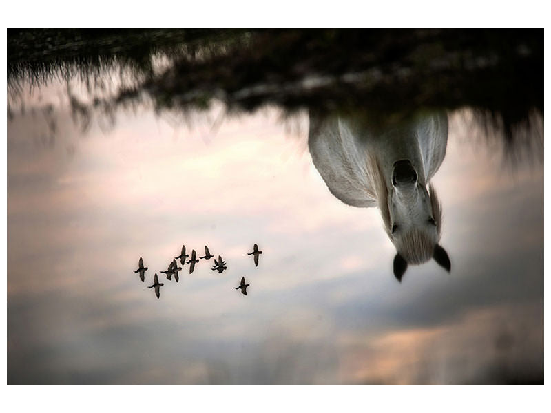 canvas-print-fly