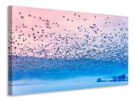 canvas-print-flying-in-the-fogging-morning