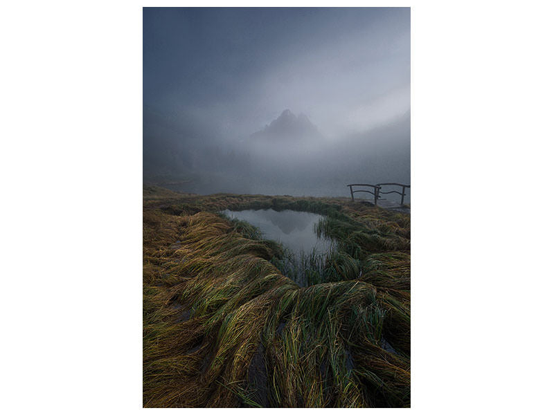 canvas-print-fog-magic