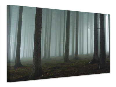 canvas-print-foggy-forest-xcg