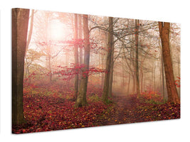 canvas-print-forest-scene-x