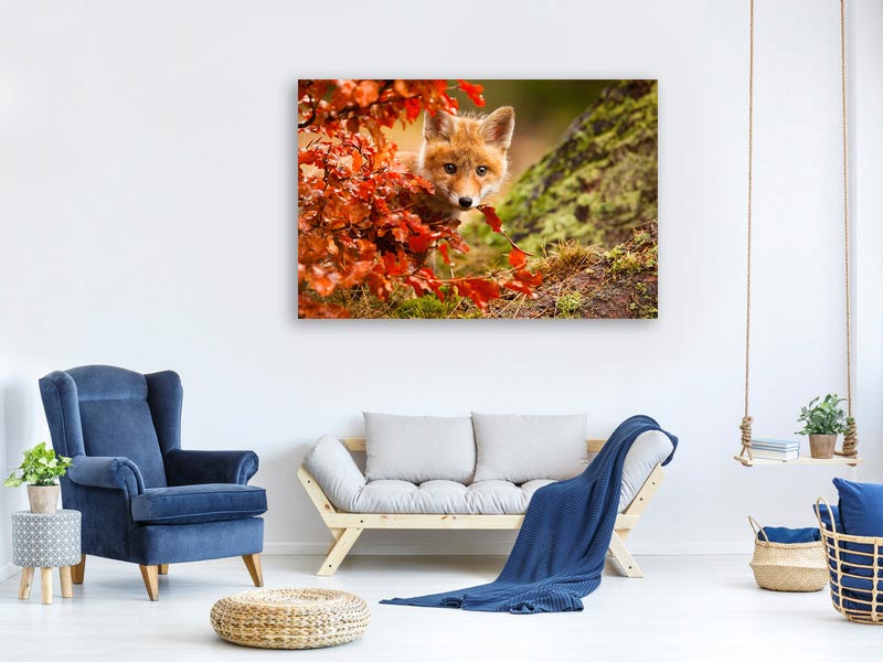 canvas-print-fox-x