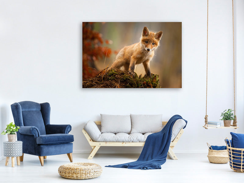 canvas-print-fox