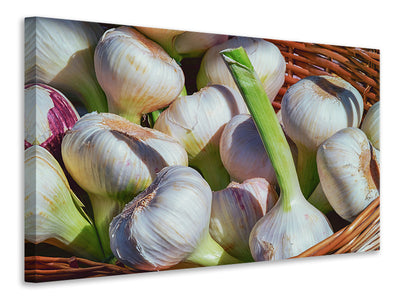 canvas-print-fresh-garlic