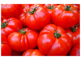 canvas-print-fresh-tomatoes