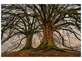 canvas-print-ghostly-trees