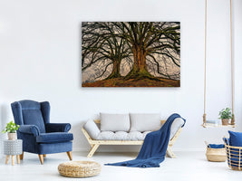 canvas-print-ghostly-trees