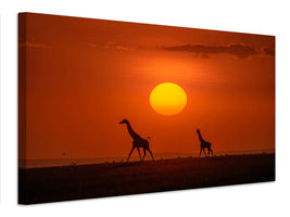 canvas-print-giraffes-in-the-sunset-x