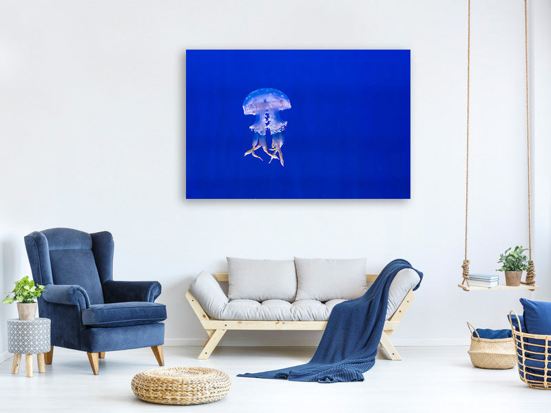 canvas-print-glowing-jellyfish