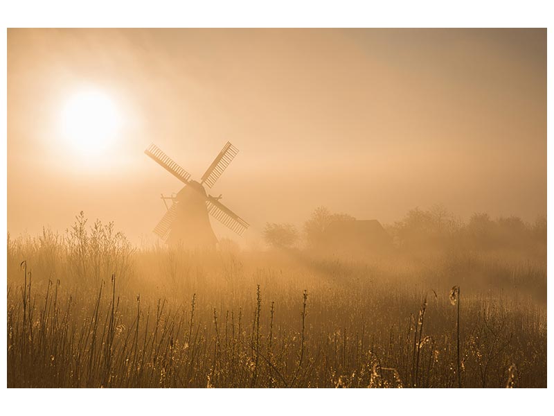 canvas-print-golden-dawn-x