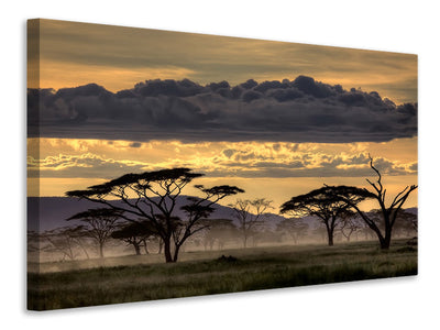 canvas-print-good-evening-tanazania