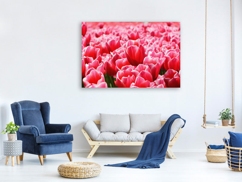 canvas-print-happy-tulip-field