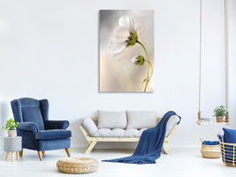 canvas-print-heavenly-cosmos