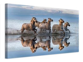 canvas-print-horses-and-reflection-x