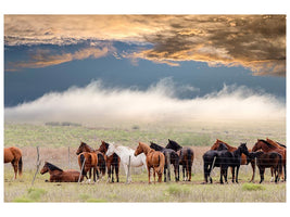 canvas-print-horses-x