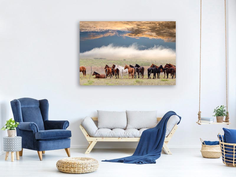 canvas-print-horses-x