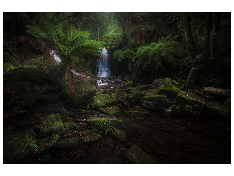 canvas-print-horseshoe-falls-x