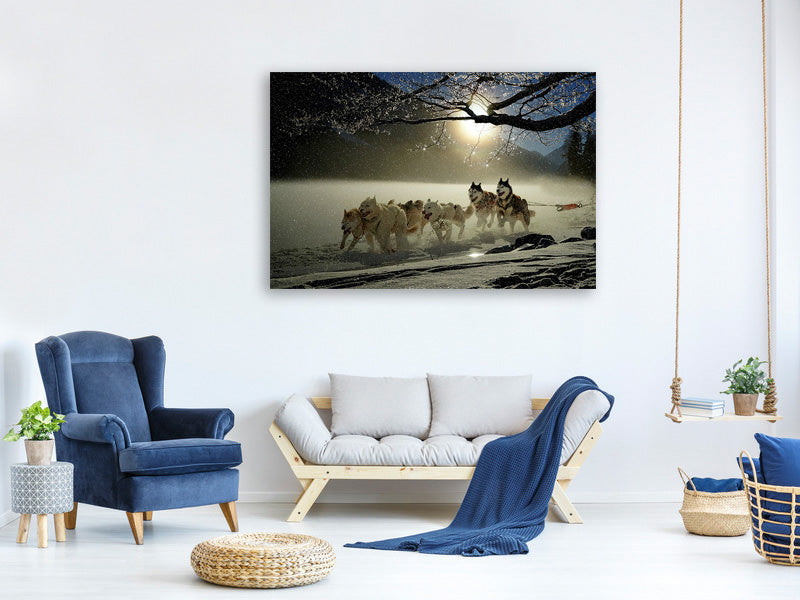 canvas-print-huskies