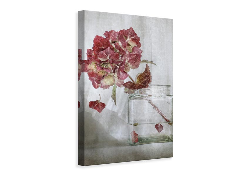 canvas-print-hydrangea-xaa