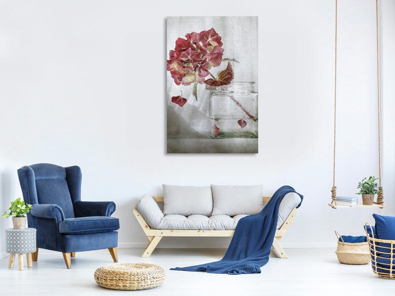 canvas-print-hydrangea-xaa