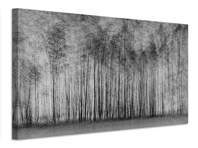 canvas-print-impenetrable-forest-x