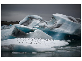 canvas-print-in-the-land-of-fire-and-ice