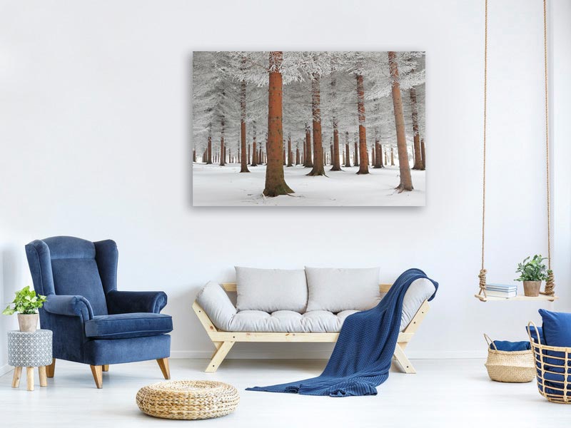 canvas-print-in-white-x