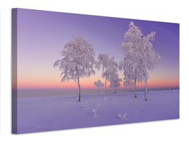 canvas-print-january-evening-x