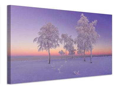 canvas-print-january-evening-x