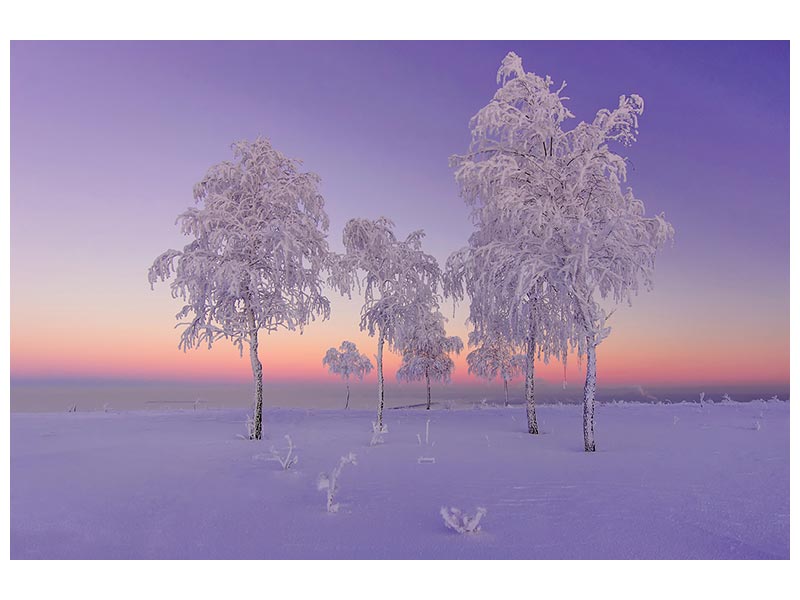 canvas-print-january-evening-x