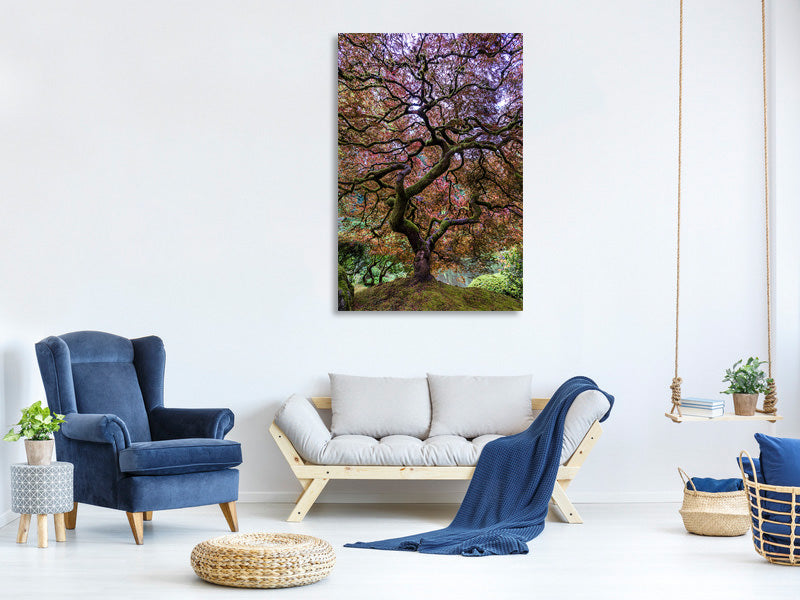 canvas-print-japanese-maple-tree