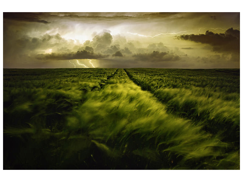 canvas-print-journey-to-the-fierce-storm