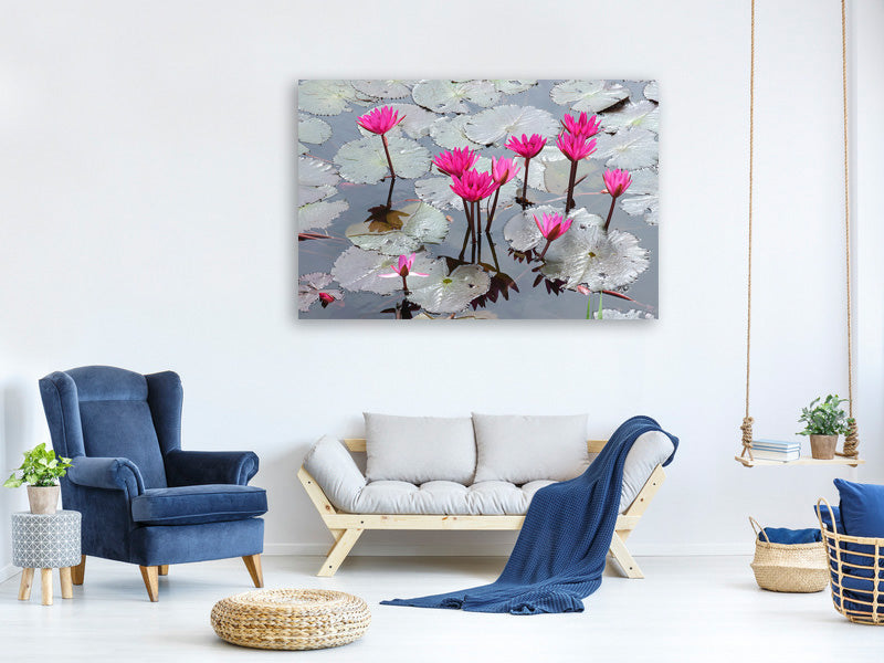 canvas-print-jump-in-the-lily-pond