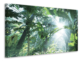 canvas-print-jungle-star