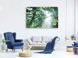 canvas-print-jungle-star