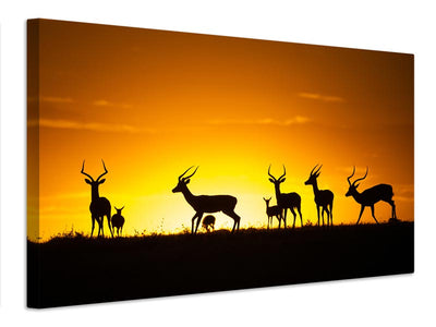 canvas-print-just-a-sunset-x